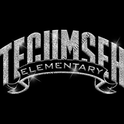 GLT37 SILVER GLITTER Thumbnail